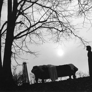 Bilder Die schrecklichen Kinder