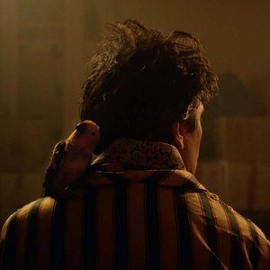 Bilder Le Ciel étoilé au-dessus de ma tête