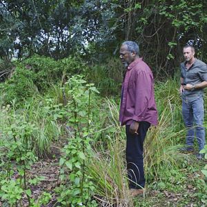 Bilder Hawaii Five-0