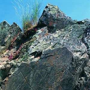 Bilder La Bataille du Côa