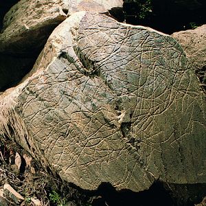 Bilder La Bataille du Côa