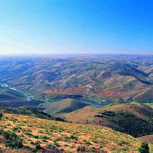 Bilder La Bataille du Côa