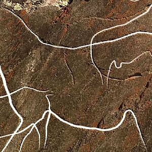 Bilder La Bataille du Côa