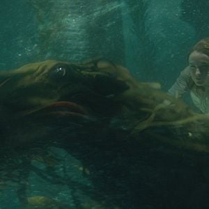 Bilder Phantastische Tierwesen: Grindelwalds Verbrechen