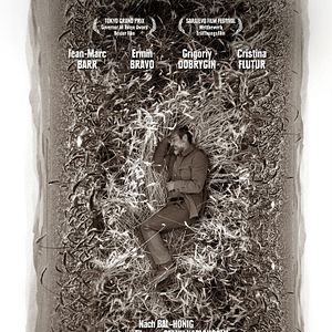 Bilder Grain - Weizen