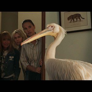 Bilder MILF - Ferien mit Happy End