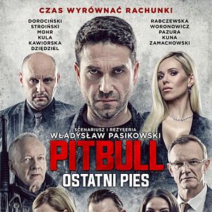 Bilder Pitbull: Last Dog