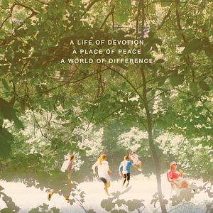 Bilder Summer In The Forest