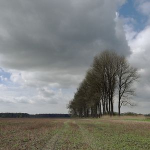 Bilder Rhinland. Fontane