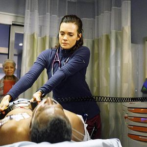 Bilder Torrey DeVitto