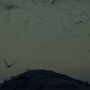 Bilder El Mar La Mar