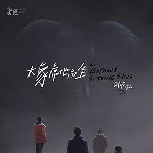 Bilder An Elephant Sitting Still