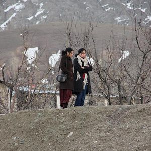 Bilder Ugly Duckling