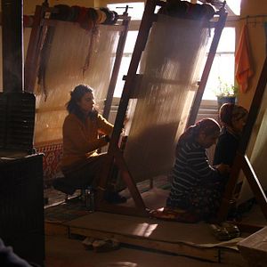 Bilder Ugly Duckling