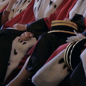 Bilder Retour au Palais