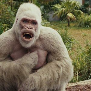 Bilder Rampage - Big Meets Bigger