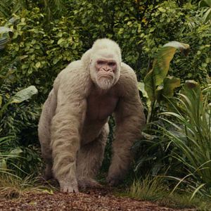 Bilder Rampage - Big Meets Bigger