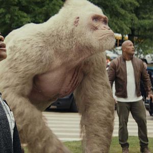 Bilder Naomie Harris