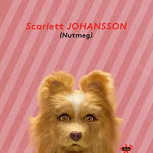 Bilder Isle of Dogs - Ataris Reise