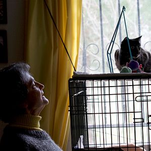 Bilder Citizen Animal - A Small Family's Quest for Animal Rights