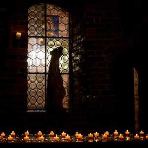 Bilder Citizen Animal - A Small Family's Quest for Animal Rights