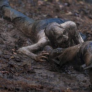 Bilder The Walking Dead