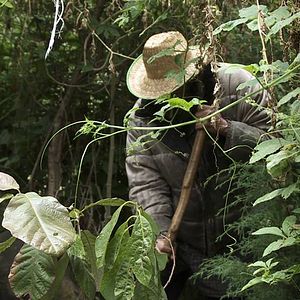 Bilder Regreso al Origen