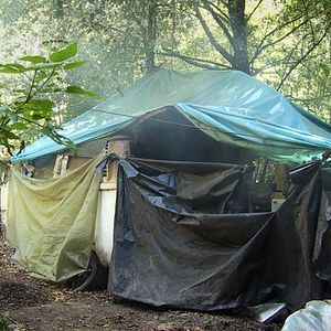 Bilder Regreso al Origen