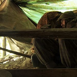 Bilder Regreso al Origen