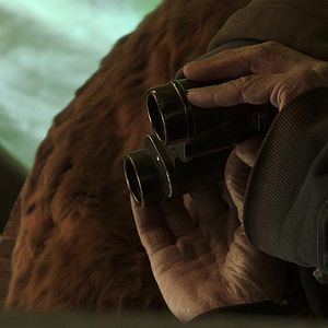 Bilder Regreso al Origen