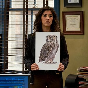 Bilder Brooklyn Nine-Nine