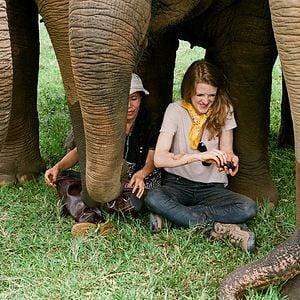 Bilder Love & Bananas