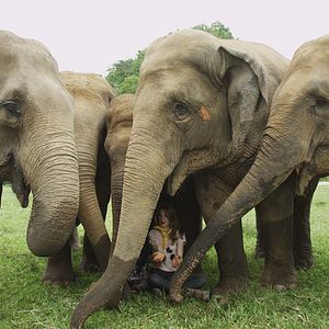 Bilder Love & Bananas