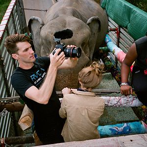 Bilder Love & Bananas