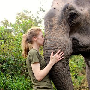 Bilder Love & Bananas