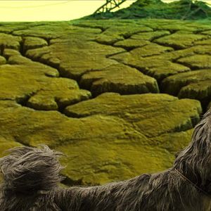 Bilder Isle of Dogs - Ataris Reise