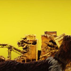 Bilder Isle of Dogs - Ataris Reise