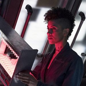 Bilder Dominique Tipper