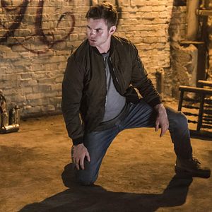 Bilder Daniel Gillies