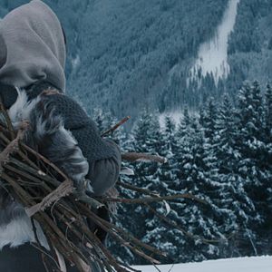 Bilder Claudia Martini