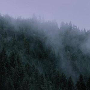 Bilder Hagazussa - Der Hexenfluch