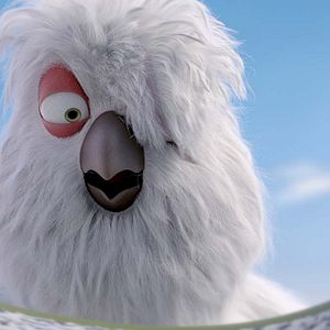 Bilder Ploey - Du fliegst niemals allein