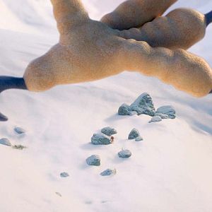 Bilder Ploey - Du fliegst niemals allein