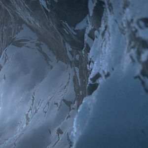 Bilder Ploey - Du fliegst niemals allein