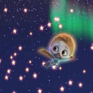 Bilder Ploey - Du fliegst niemals allein