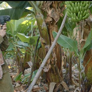 Bilder El pintor de calaveras