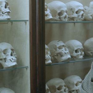 Bilder El pintor de calaveras