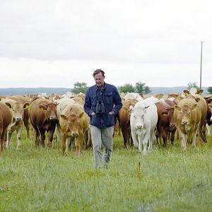 Bilder Usedom - Der freie Blick aufs Meer