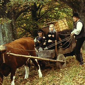 Bilder Das neue Land