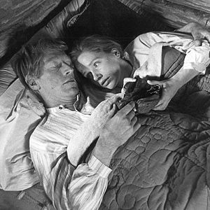 Bilder Das neue Land